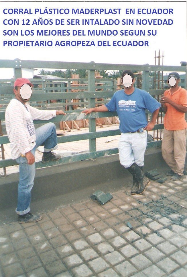 corrales de matadero frigorífico corrales planta sacrifico rediles higiénicos corral sacrificando vacada plantas faena nuevos mataderos corral para sacrificar manada encierro degolladero 6 corrales de matadero frigorífico corrales planta sacrifico rediles higiénicos corral sacrificando vacada plantas faena nuevos mataderos corral para sacrificar manada encierro degolladero 6 corrales de matadero frigorífico corrales planta sacrifico rediles higiénicos corral sacrificando vacada plantas faena nuevos mataderos corral para sacrificar manada encierro degolladero 6